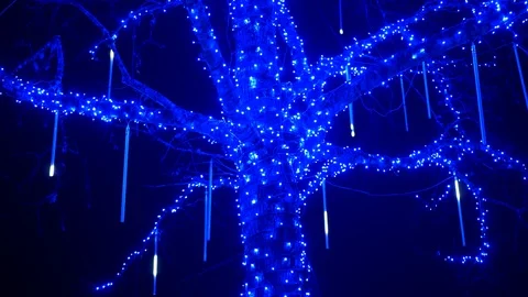 Holiday Light Festive Tree Background Decoration, Bright Xmas Celebration Video stock 120817729