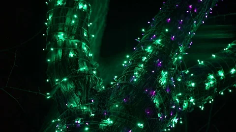 Holiday Lights Video stock 83191174