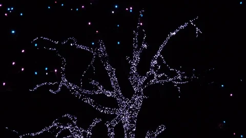 Holiday Lights Stock Footage 83213962