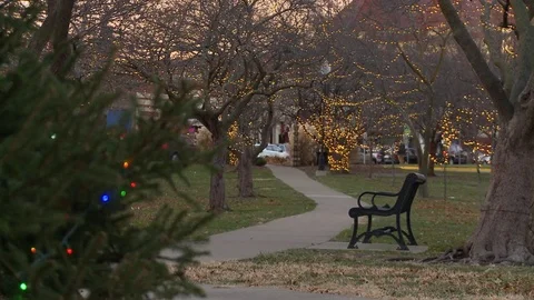 Holiday lights in park with bench Stock Footage 83258049