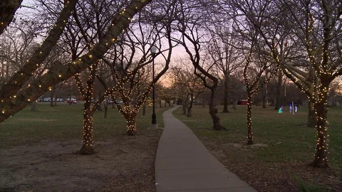 Holiday lights in park Video stock 83258062