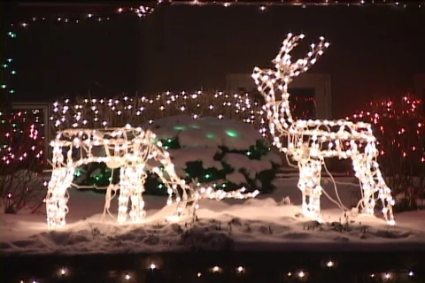 Holiday lights two deer animate motion Stock Footage 121236183