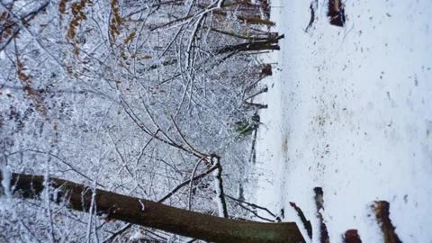 Holiday magic comes to life in every glint of snow. Stock Footage 296408537