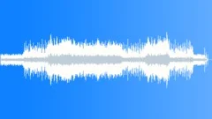 Holiday market (Full) Stock Music
