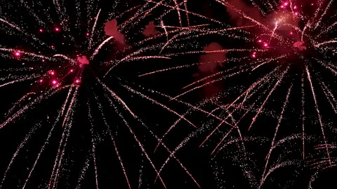 Holiday. Night fireworks Stock-Footage 309118277