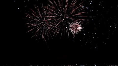 Holiday. Night fireworks Stock-Footage 309118302