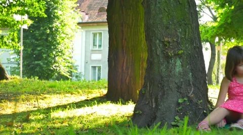Holiday in the Park Stock Footage 68858212