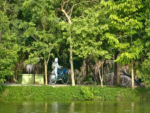 Holiday at park Stock Footage 77516785