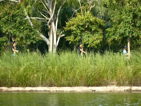 Holiday at park Video stock 77517811