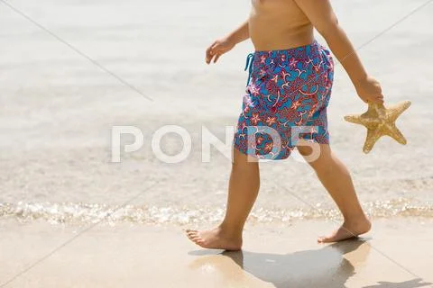 Holiday Stock Photos