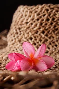 Holiday Stock Photos