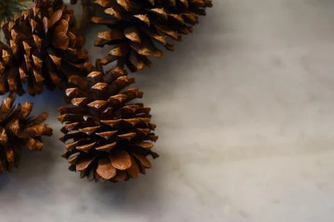 Holiday pine cones on light background with room for text. Stock Photos