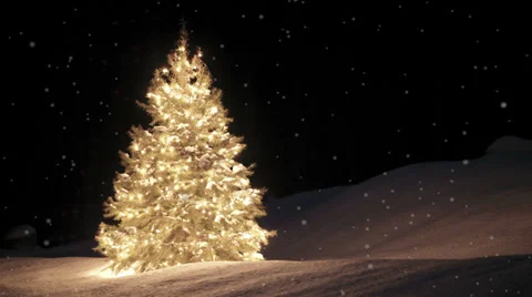 Holiday scene with tree and looping snow 스톡 동영상 39639915
