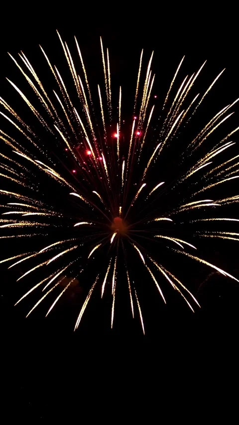 Holiday shining fireworks explode with sparks in the black sky Stock Footage 269398519
