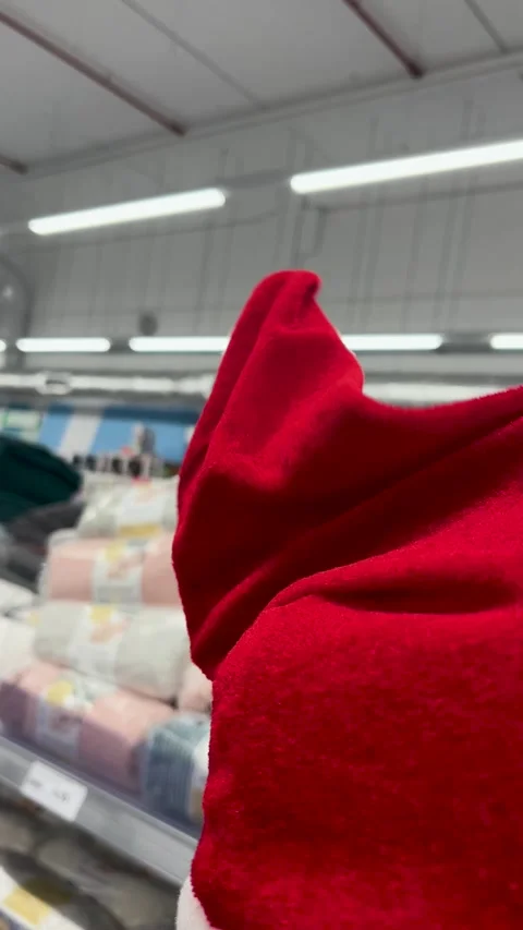Holiday Shopping for Festive Decorations in a Vibrant Store Stock Footage 301137853
