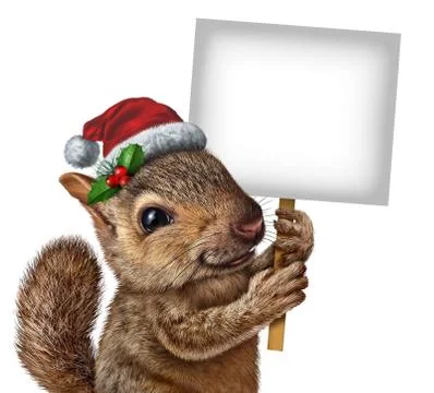 Holiday squirrel sign 库存插图