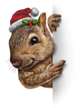 Holiday squirrel vertical Stock Illustration