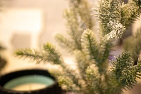 Holiday Table Stock Photos
