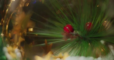 Holiday Tree Branches Decorated with Red Ornaments and Gold Star Lights Stock Footage 331105134