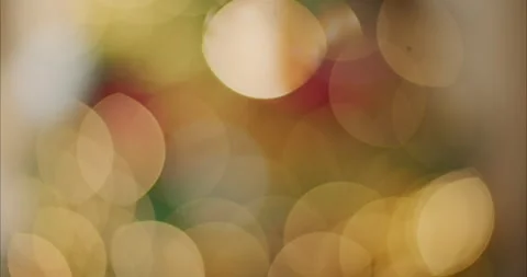 Holiday Tree Lights Glowing with Soft Bokeh Effect in Festive Celebration 库存影片 331105055