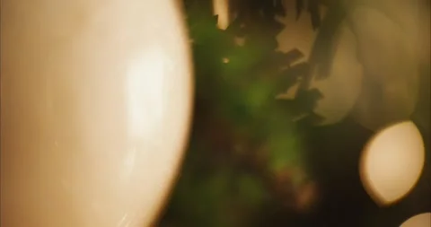 Holiday Tree Lights Glowing with Soft Bokeh Effect and Warm Festive Atmosphere 库存影片 331105212
