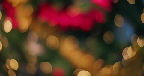 Holiday Tree Lights Glowing with Soft Bokeh Effect 库存影片 331105276