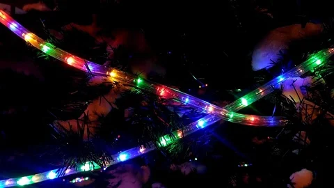 Holiday tree lights in the night Video stock 71592191