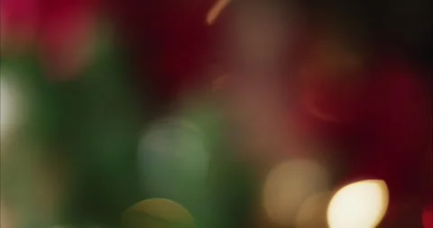 Holiday Tree Lights Sparkling with Soft Bokeh and Festive Movement Vidéo 331105048