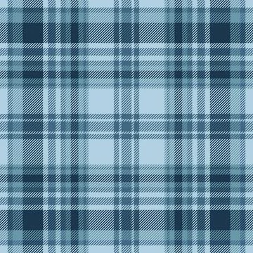 Holiday vector check fabric, expensive plaid pattern textile. Path seamless.. 库存插图