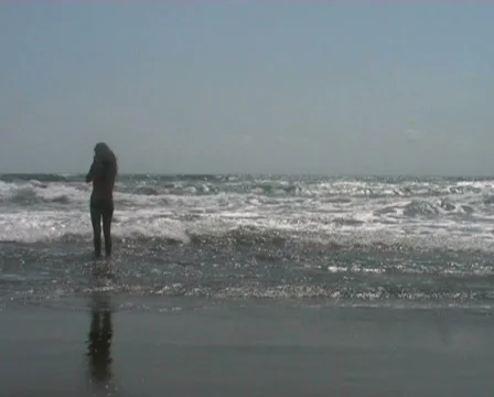 Holiday video Stock Footage 619725