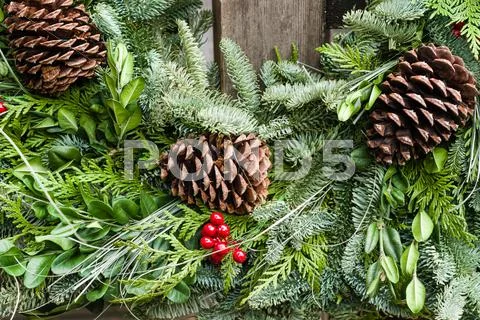 Holiday wreath of evergreens and cones Stock Photos
