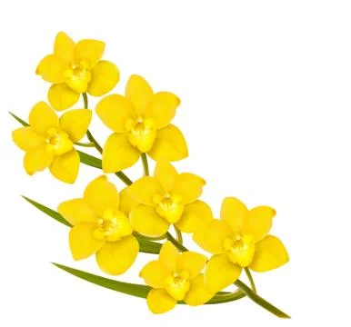 Holiday yellow flowers background. Vector. Stock Illustration