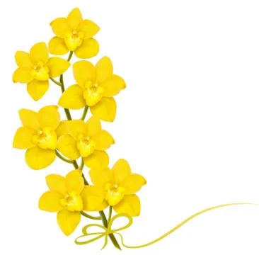 Holiday yellow flowers background. Vector. Stock Illustration