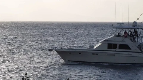 Holidays Stock Footage 94591337