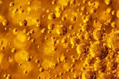 Holidays. Stock Photos