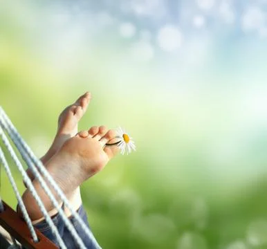 Holidays at the ranch Stock Illustration