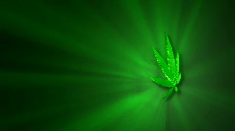 Holistic Cannabis Abstract Background Stock Footage
