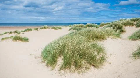 Holkham sand dunes Stock Photos