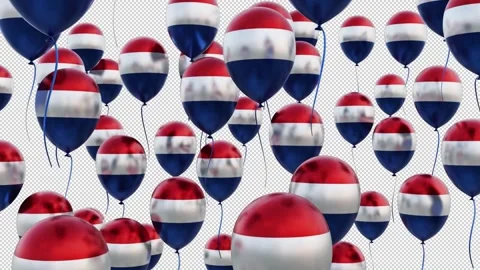 Holland Flag On The Flying Balloons Vídeos de archivo 314665437