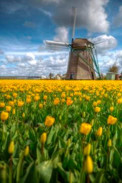 Holland Stock Photos