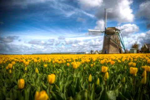 Holland Stock Photos