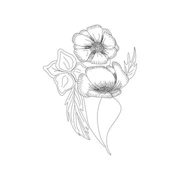 Holland tulips on a white background. Vector. Hand drawn artwork. Love concept Illustrazione stock
