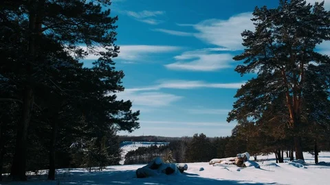 Hollow in a large trunk of a tree lying on the ground in winter, the wind blows, Stock Footage 126669646