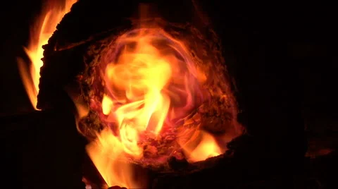 Hollow Log Fire   Stockbeeldmateriaal 886214
