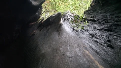 Hollowed Tree Trunk 2 스톡 동영상 79038427