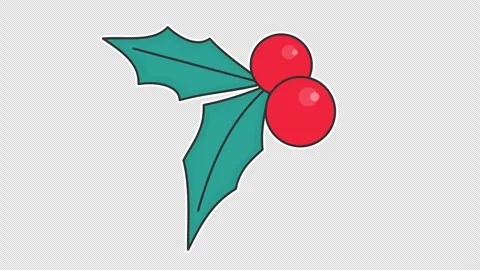 Holly berries Stock Footage 340269075
