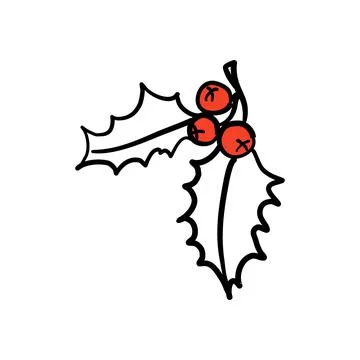Holly berries Stock Illustration