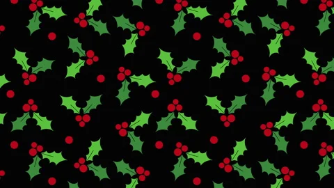 Holly berries pattern black Stock Footage 255448982