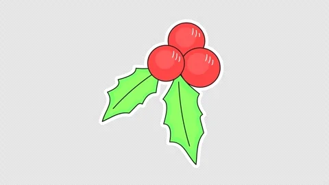 Holly berry 스톡 동영상 336779806