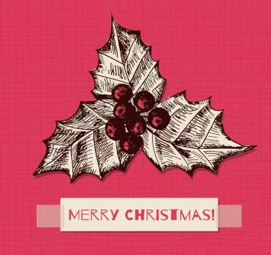 Holly berry Stock Illustration